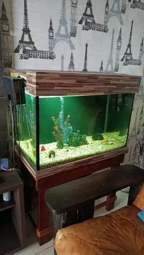 Aquário 300 Litros 