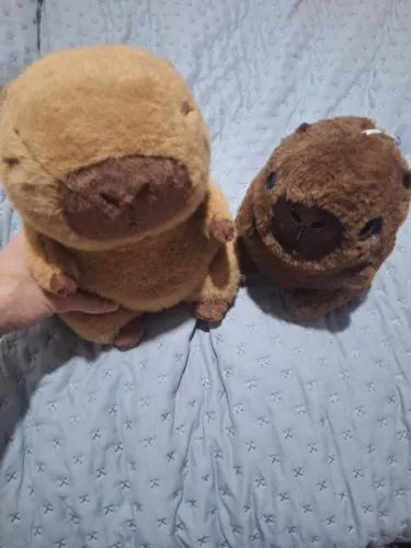Conjunto capivaras fofas de pelúcia
