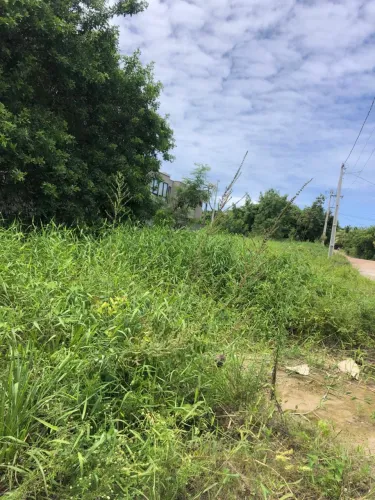 Lote de 450m2 beira rio rota ecológica dos milagres 