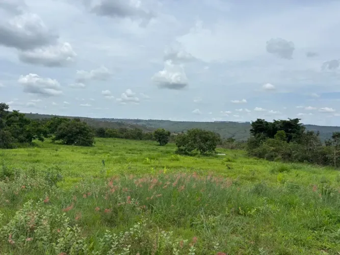 CHÁCARA À VENDA  20 HECTARES | OPORTUNIDADE PARA INVESTIR OU PRODUZIR