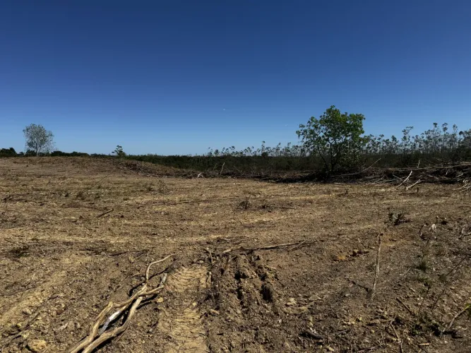 Fazenda à Venda no Vale do Araguaia Dois Irmãos/TO | 205 Alqueires | Dupla Aptidão