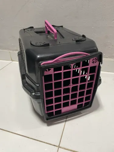 Caixa de transporte pet e cones