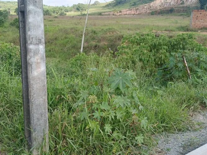 Terreno