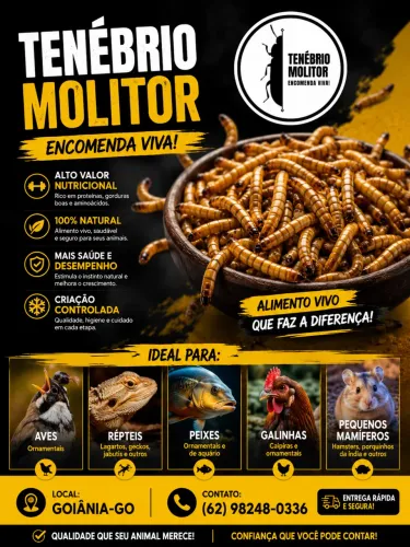 Tenébrio Molitor - Proteína Viva!