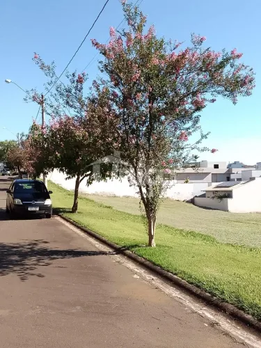 terreno - Jardim Monte Verde - Monte Mor