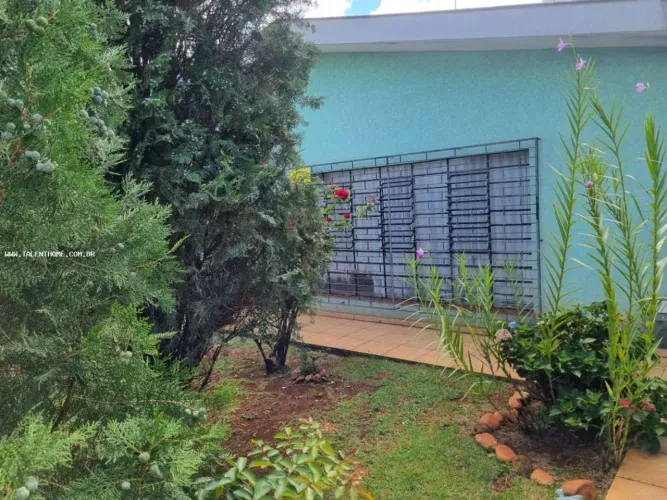 Apartamento para Venda em Londrina, Brasília, 5 dormitórios, 2 banheiros