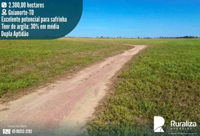 FAZENDA 220KM DE PALMAS-TO | 1.000HA ÁREA AGRÍCOLA CONSOLIDADA
