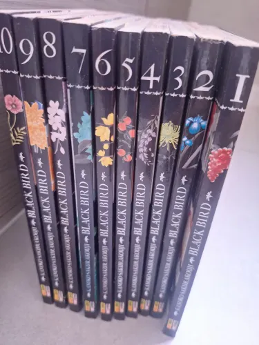 Mangá Black Bird
