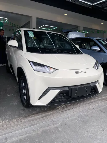 BYD Dolphin Mini (Elétrico) 2027