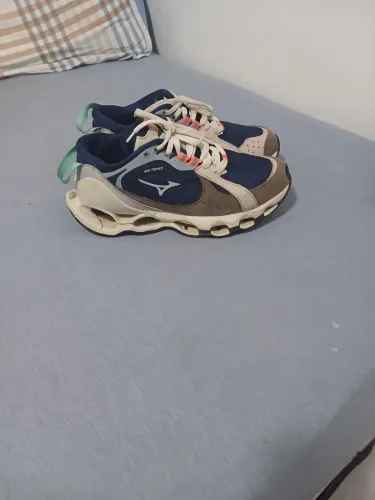 Tenis
