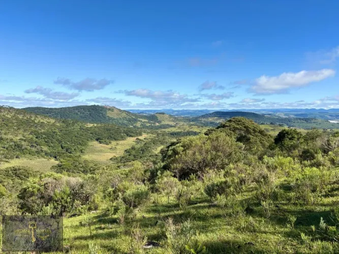 Área Rural para Venda em São Joaquim, Perico