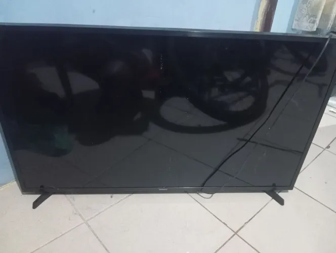 Televisão