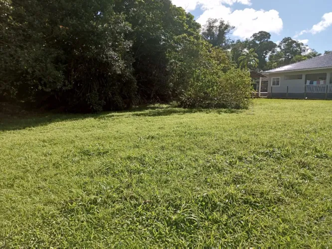 Terreno Plano com 1.200 m², Documentado e Financiável Residencial Rosina \ VALOR PROMOCIO
