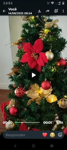 ÁRVORE DE NATAL, COMPLETA