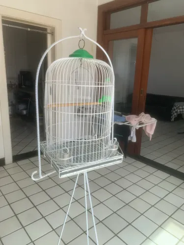 Gaiola com tripé, para canário, periquitos, agapornis, outros passáros