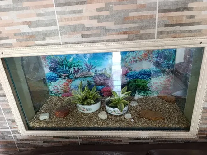 Aquário Ornamental