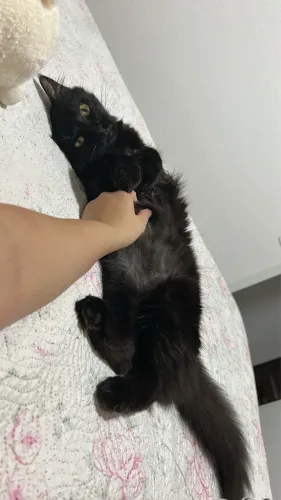 Doação responsável 