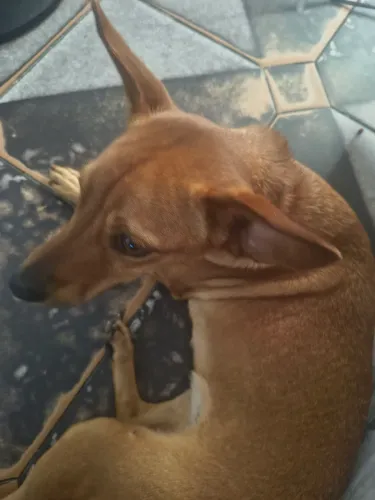 Doação