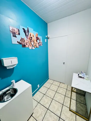 Consultório veterinário equipado