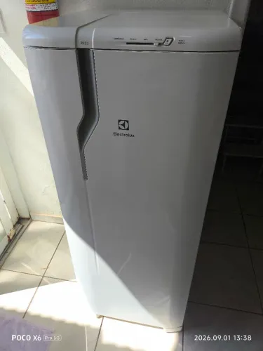 Geladeira Eletrolux defrost R31