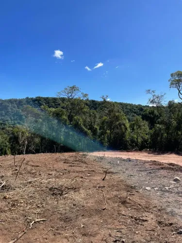 São Roque em Alta: Terrenos de 1.000 m² no Bairro Saboó