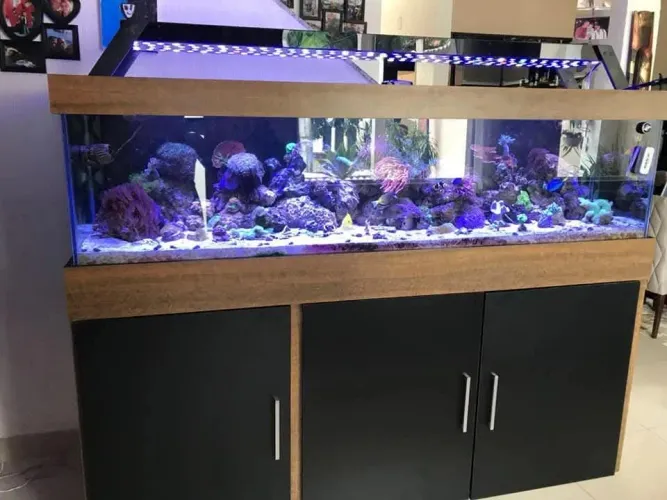 Aquario de luxo 