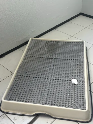 Banheiro de cachorro tamanho G Weasy com dreno