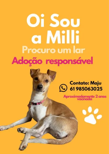 Doação pet