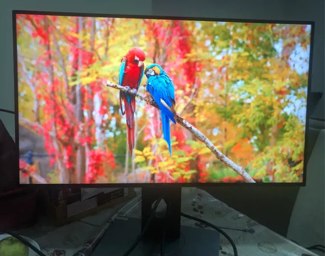 Monitor Dell Ultrasharp - U2717D - 27" QHD