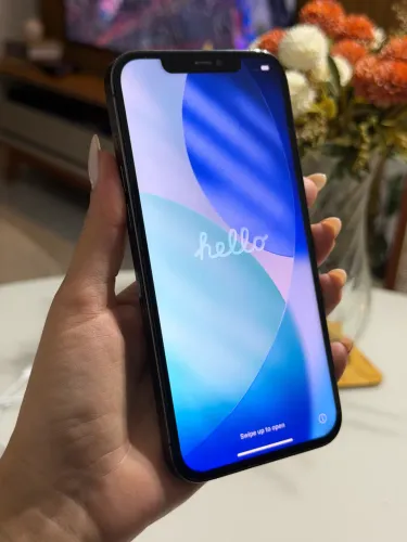 iPhone 12 Pro Max 256GB