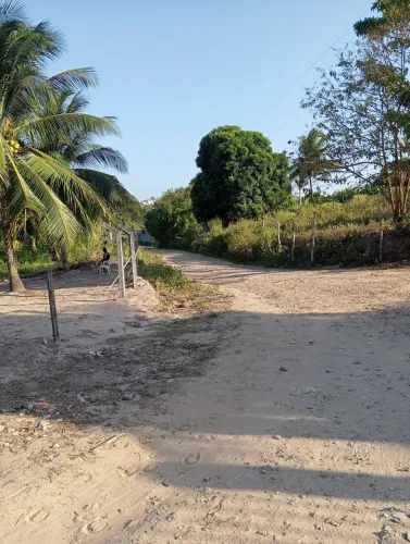Lote na pitanga