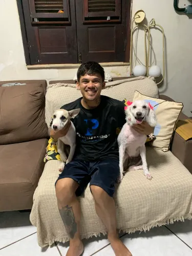 Banho e tosa a domicílio 