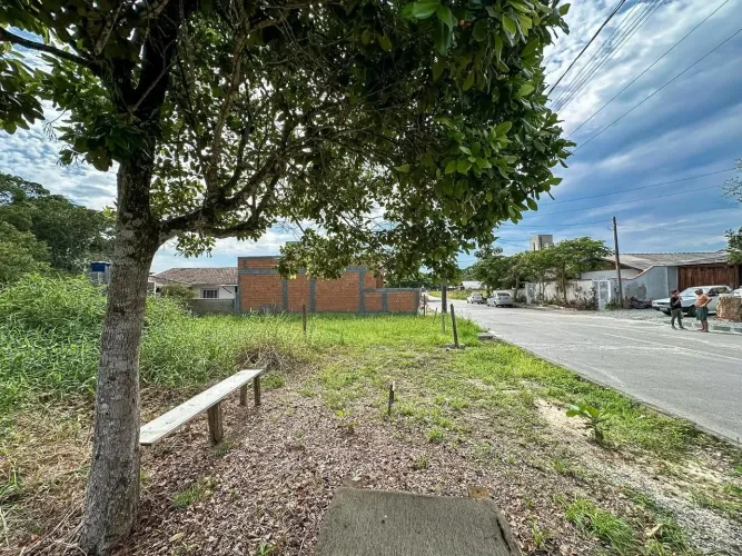 Terreno à venda, 302 m² por R$ 230.000 - Itajuba - Barra Velha/SC