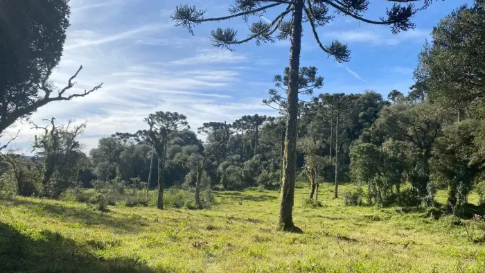 sitio a venda em Urupema