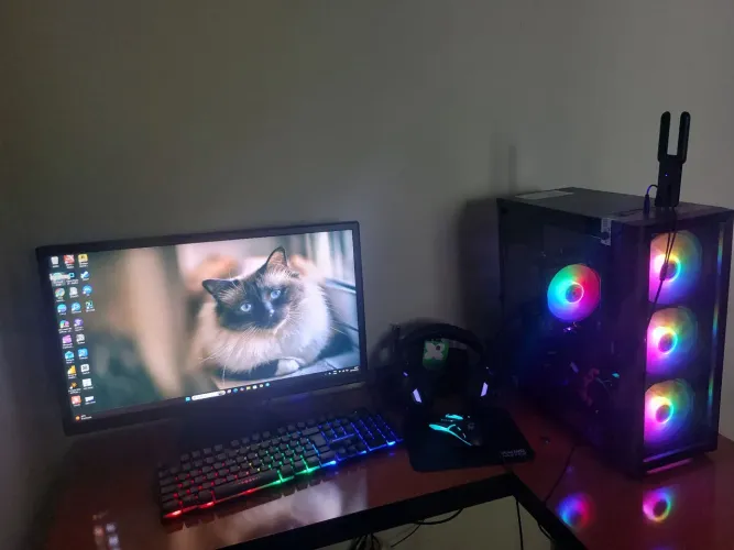 PC Game