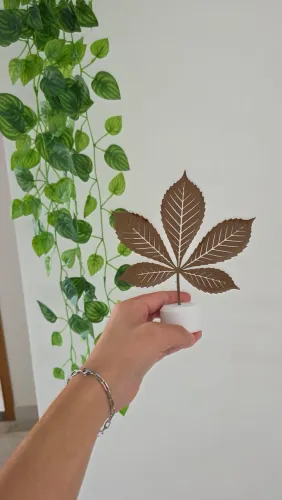 Planta decorativa