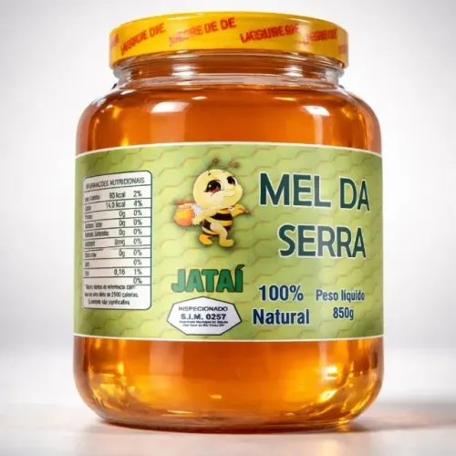 Mel De Abelha Jatai Sem Ferrão - Pote 850g.