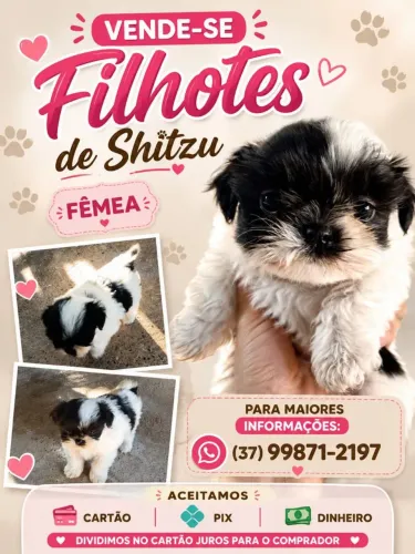 Vende se