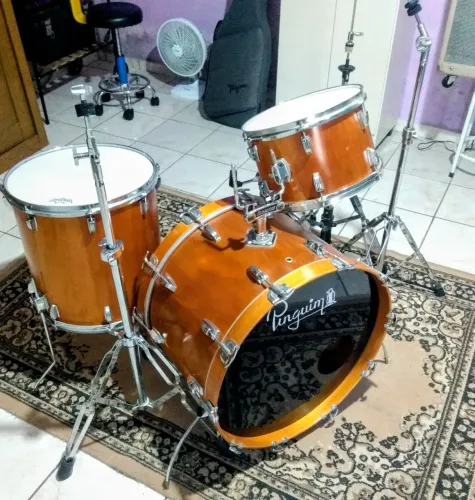 Bateria Pinguim 1970 - ferragens Ludwig e peles Remo