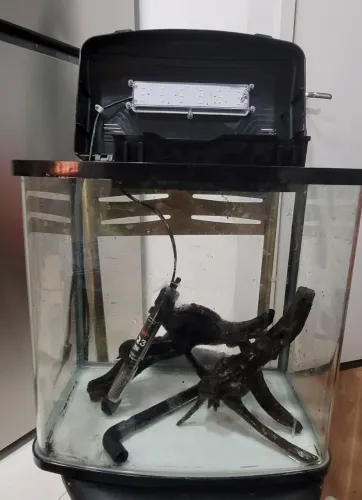 Aquario Curvo 33l