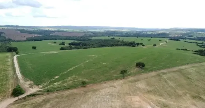 Fazenda de 110 alqueires em Pires do Rio-GO