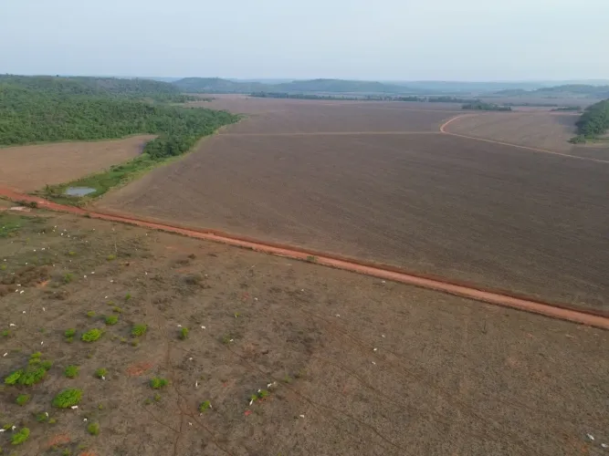 Fazenda 550 alq. Em Matupá MT. C/500 formado R$: 600 mil sacas soja