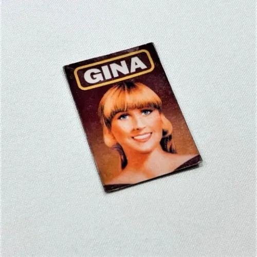 (Aceito cartão) Imã de Geladeira Palitos Gina