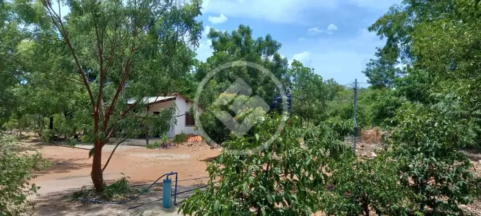 Chácara com 4 Hectares com poço artesiano na cidade de Barão de Melgaço Cuiabá MT R$ 270.0