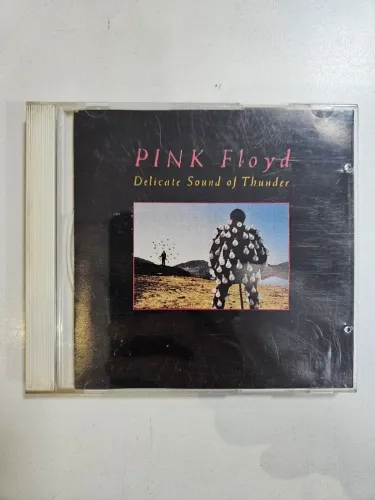 Pink Floyd - Delicate sound of thunder