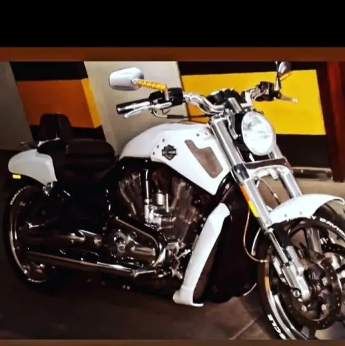 Vendo v- rod muscle  branca cristalizada 2014
