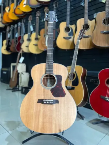 Violão Walden G550 tampo sólido novo