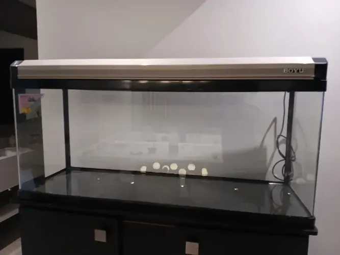 Aquário boyu elegante, vidro curvo, mod ea 120, capacidade de 235 litros - usado