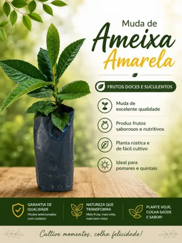 Muda de Ameixa Amarela
