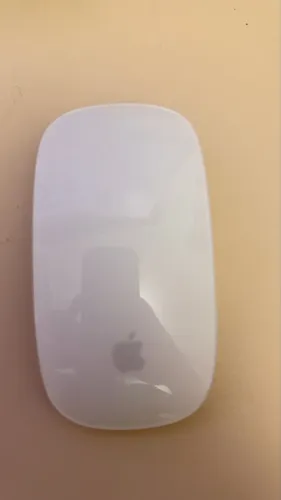 Apple magic mouse